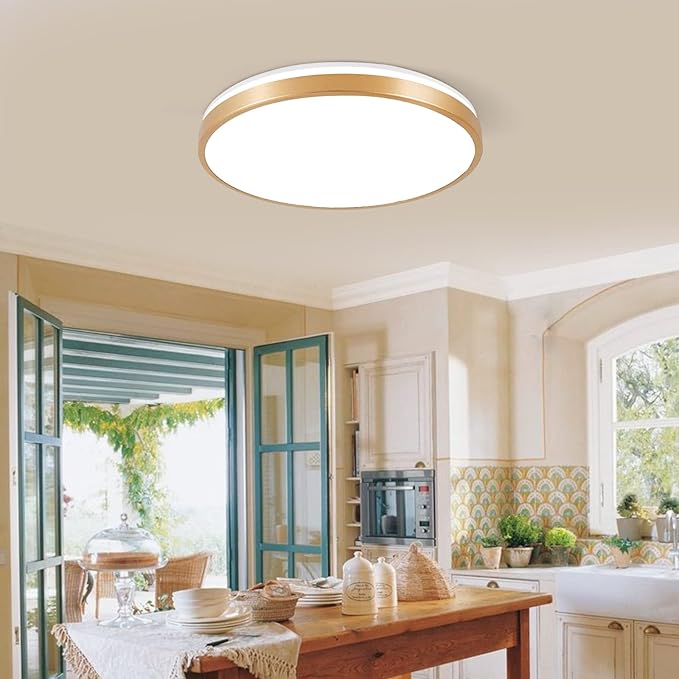 HOREVO RGB Flush Mount Light Fixture with Bluetooth Speaker, 24W Dimmable Brushed Nickel LED Ceiling Light for Bedroom, Living Room, Kid's Rooms, Kitchen, Hallway (Need Wired)