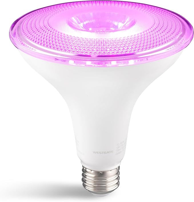 Westgate TC-PAR38 Smart LED Lamp, Smart Light Bulb, Compatible with Alexa, Works with Google Home, E26 Light Bulb (PAR38 13W)