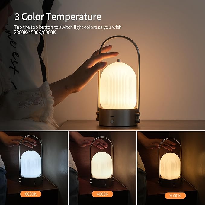 Aisilan Modern Milk Glass Bedside Table Lamp, Cordless Rechargeable Touch Control Lamp with Motion Sensor, Dimmable LED Nightstand Light for Bedroom & Home Decor, Brushed Nickel, 3W