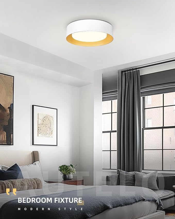 AUTELO Close to Ceiling Light Fixture, 14" Frosted Glass Shade Flush Mount Ceiling Light in White Finish E26 Socket for Living Room Hallway Bedroom C3336XS WH