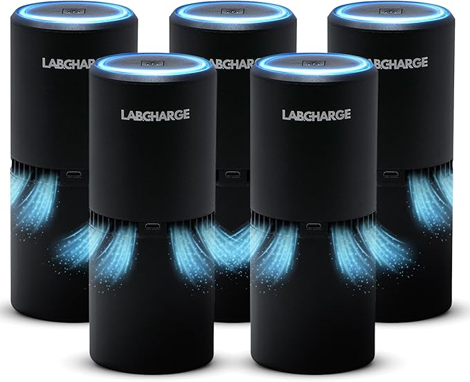 LabCharge Small Ionic Air Purifier for Home & Bedroom – Silent HEPA Filter – Covers 250 Sq Ft - Free Cleaner for Pets, Hair, Smoke, Dust, Odors & Dander – Compact & Black Design - Pack of 5