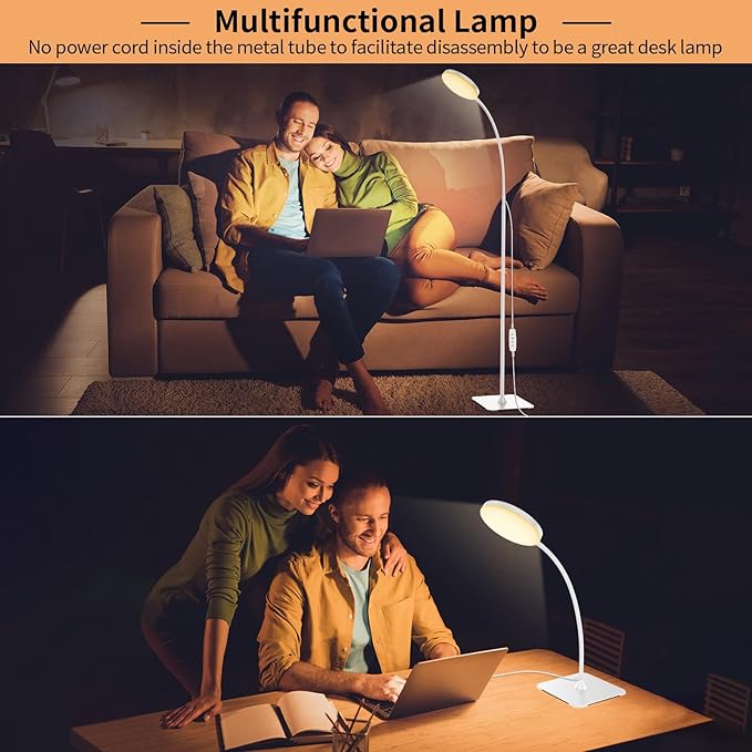 168 LED Floor Lamp, 2-in-1 Convertible Floor/Desk Lamp, 360° Adjustable Gooseneck, [3 Color Temperatures & 10 Brightness Levels], 10W USB Powered for Living Room, Bedroom, Office and Reading