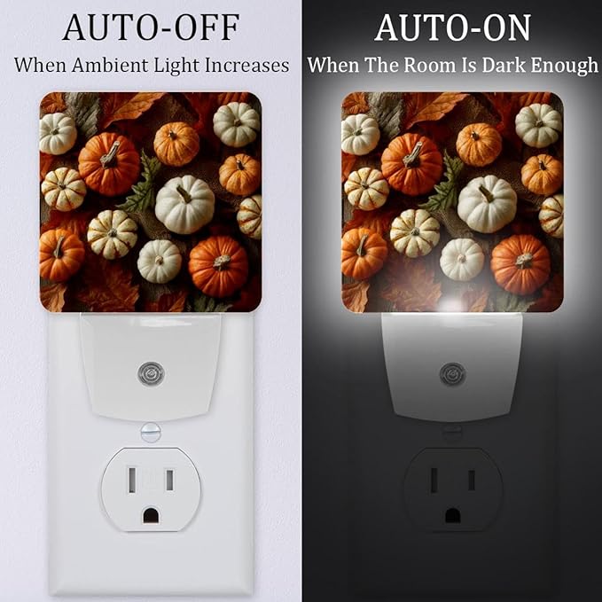 Thanksgiving Orange and White Pumpkins a (1) LED Night Light Plug-in, Dusk to Dawn Sensor, Energy Efficient, Ideal for Home Office Bedroom, Bathroom, Nursery, Hallway, Kitchen, 2 Pack