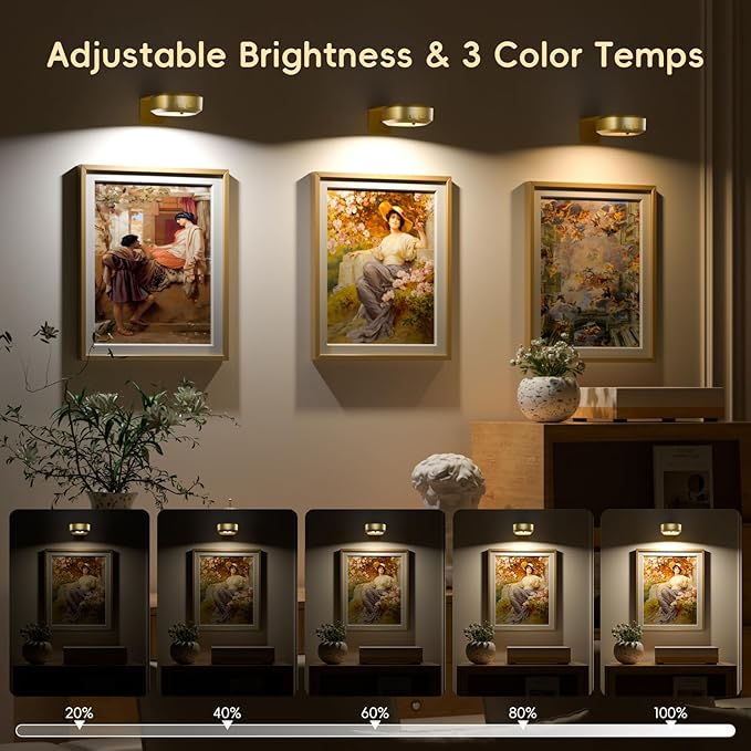 Picture Lights for Wall, Rechargeable Magnetic Poster Lights with 3 Color Temperatures, Dimmable Timer Painting Decor Light for Art Display, Frame (Gold, 1 Pack)
