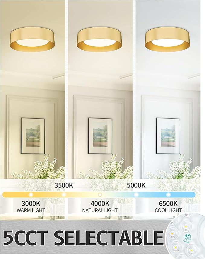 AUTELO 5CCT LED Ceiling Light, 12" Gold Flush Mount Ceiling Light with Frosted Glass in Gold Metal Finish for Bedroom, C3336-29 BRZ LED