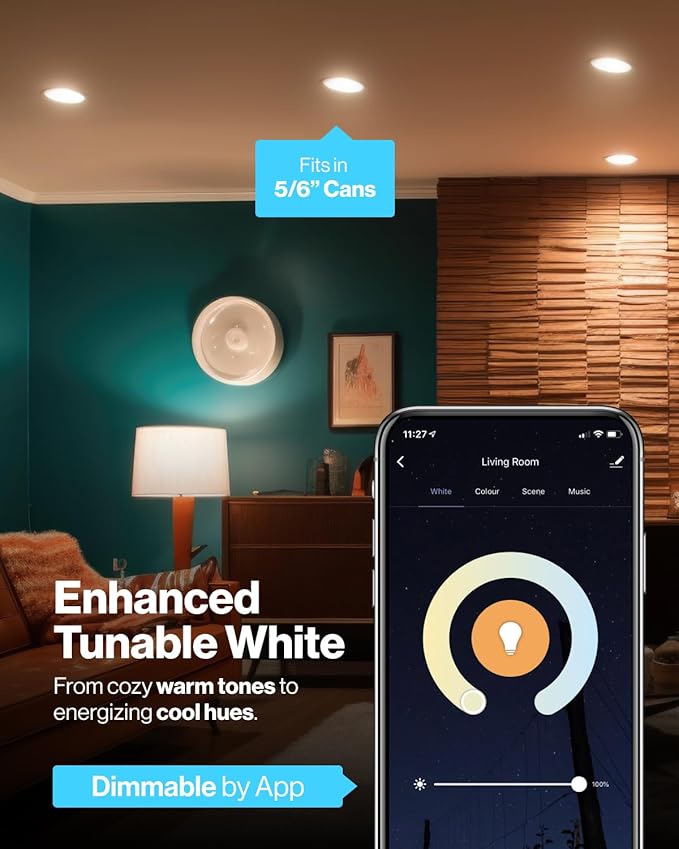 Sunco BR30 Alexa Smart Flood Light Bulb, Color Changing LED Recessed WiFi Bulb 8W, RGB CW, Dimmable, 650 LM, Compatible with Alexa & Google Assistant, E26 Base, No Hub Required, 10 Pack