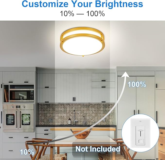 DLLT Flush Mount LED Ceiling Light: 10 Inch 5CCT (3000K-6000K) & Dimmable Ceiling Light Fixtures for Bedroom Hallway - 18W Modern Gold 1600LM Super Bright Kitchen Lighting Fixtures Ceiling
