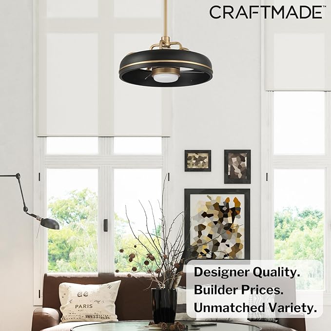 Craftmade Taylor 20" Dual Mount Indoor/Outdoor Flat Black Finish Ceiling Fan, LED Light Kit, Remote Control Included, Smart WiFi Enabled with Voice Activation (Flat Black/Satin Brass)