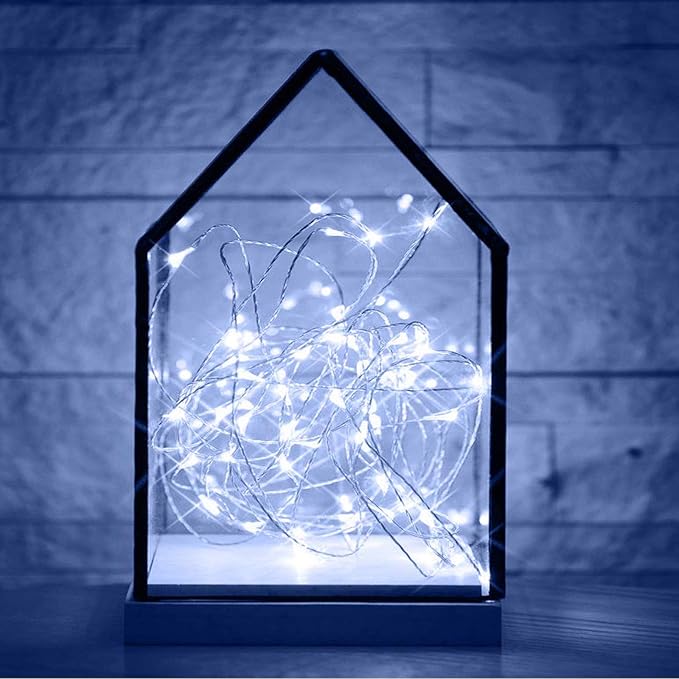 RUICHEN Silver Wire Fairy Lights Plug in 33 Ft 100 LED String with Spool, Cool White