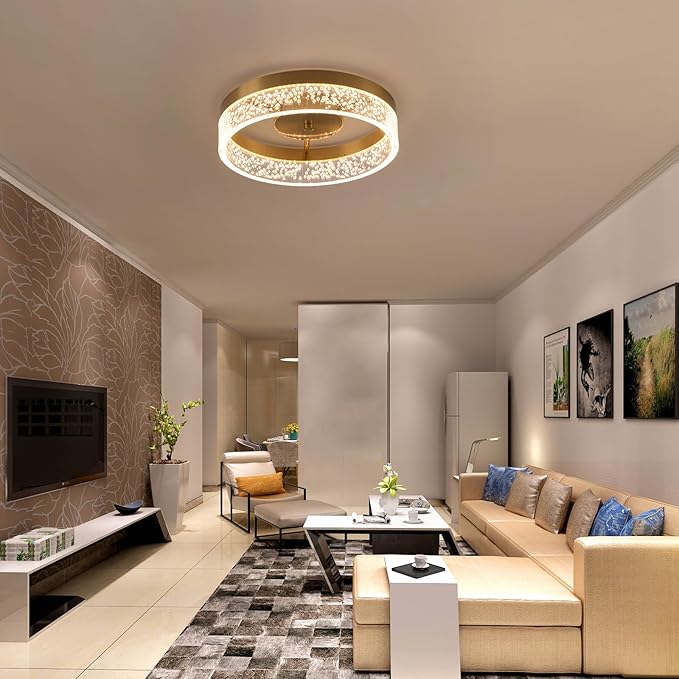 Jaycomey Modern LED Ceiling Light Fixture, 11.65" Flush Mount Kitchen Lighting Gold with Clear Seeded Acrylic Lampshade,Dimmable Round Ceiling Lamp Lights for Bedroom Dining Room