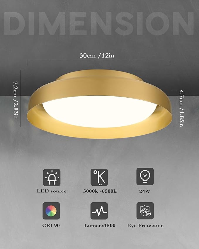 Ken & Ricky Flush Mount Ceiling Light Fixture, Led Dimmable 24w for Bedroom Kitchen Bathroom Laundry Hallway Entryway,Remote Control (Brushed Gold,12Inch,1PK)