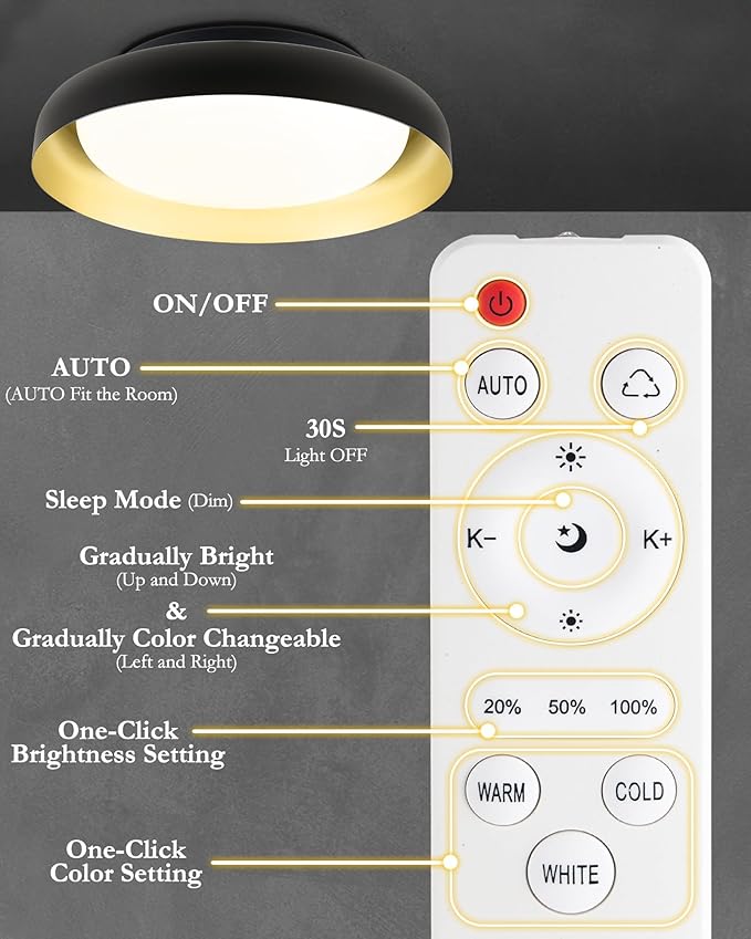 Ken & Ricky Flush Mount Ceiling Light Fixture, Led Dimmable 24w for Bedroom Kitchen Bathroom Laundry Hallway Entryway,Remote Control (Black and Gold,12Inch,2PK)
