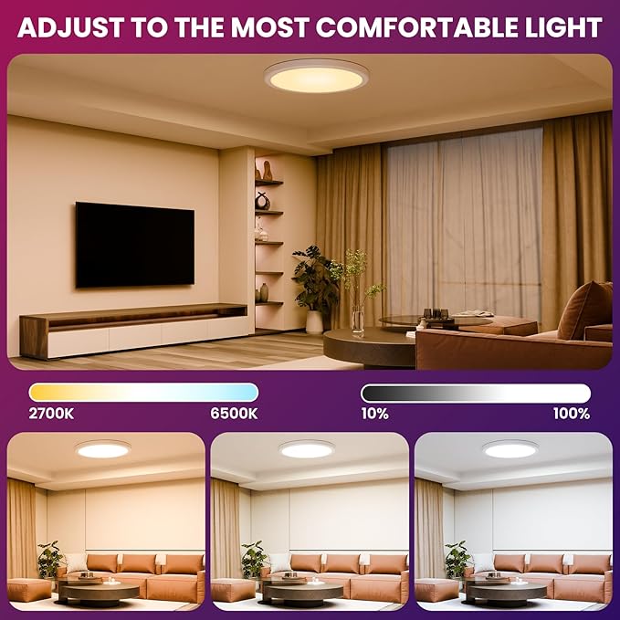12 Inch Smart Ceiling Light, 2400LM RGBCW LED Flush Mount Ceiling Light Work with App & Voice Control, 2700K-6500K Dimmable LED Ceiling Light Fixture for Living Room Bedroom Gaming Room, 2 Pack