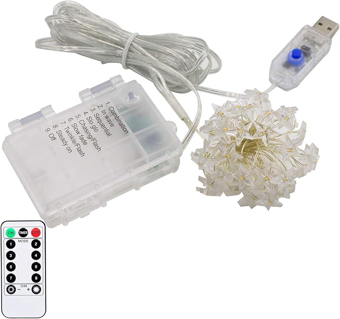 Twinkle Star String Lights 40 LED Spring Garden Decorative Indoor Outdoor Fairy Light USB & Battery Operated Lights 13ft Waterproof Lights with Remote Control for Festival Party Bedroom Decoration