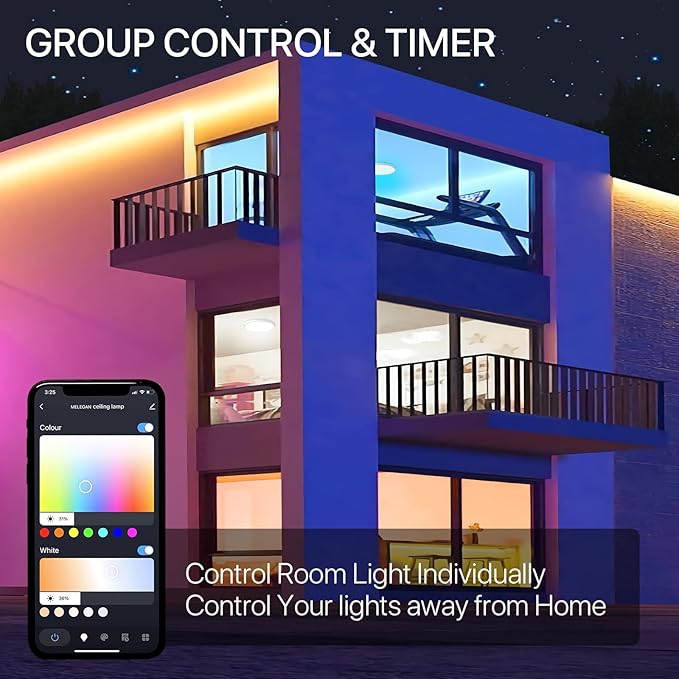 MELEGAN 2Pcs RGB Smart Ceiling Light, Super Slim LED Flush Mount Ceiling, WiFi Compatible with Alexa Google Home,12Inch 24W Dimmable 2700K-6500K for Bedroom, Kitchen, Dining Room, Basements