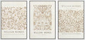 wall26 Framed Canvas Print Wall Art Set William Style Cotton Prints Exhibition Illustrations Modern Art Decorative Floral Botanical Minimal for Bedroom - 16"x24"x3 White