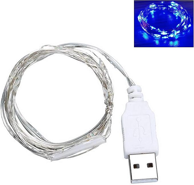 9ft USB Silver Wire LED String Lights - 30 LEDs Fairy Lights for Wedding, Party, Christmas Festival Decorations, W1