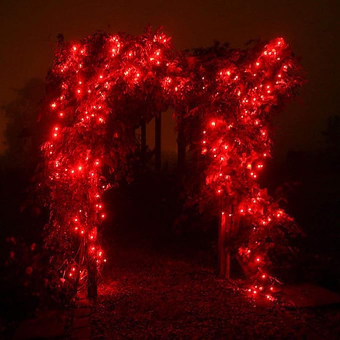 RUICHEN Silver Wire Fairy Lights Plug in 33 Ft 100 LED String with Spool, Red