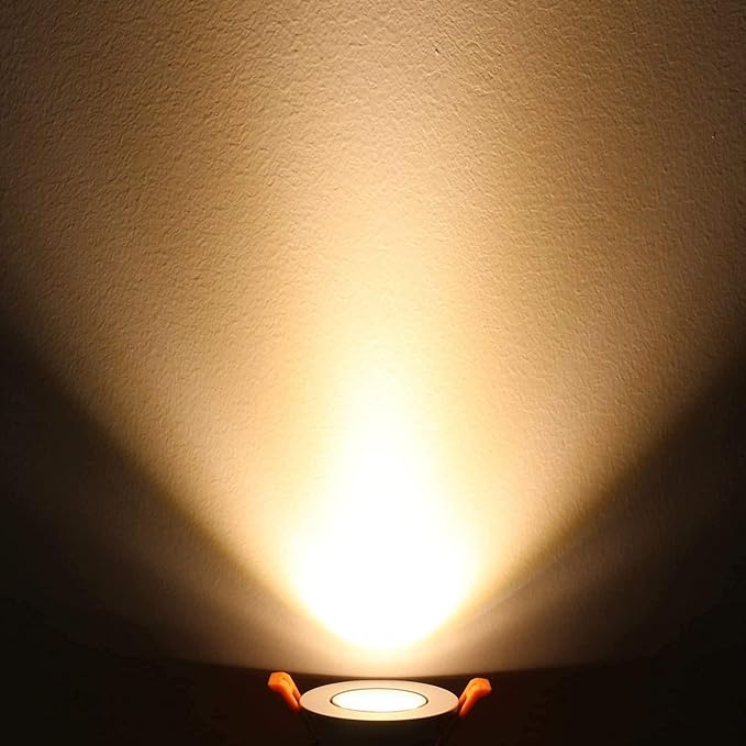 LightingWill 2inch LED Dimmable Downlight, 3W COB Recessed Ceiling Light, Warm White 3000K-3500K, CRI80, 25W Halogen Bulbs Equivalent, Silver(10 Pack)