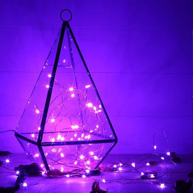 RUICHEN Plug in Fairy String Lights with Switch, Waterproof 66 Ft 200 LED Copper Wire Firefly Lights for Christmas, Parties, Wedding, Ceiling, Craft, Vases, Purple