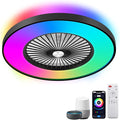 24" RGB Low Profile Ceiling Fan with Light, Smart Bladeless Ceiling Fan with APP/Alexa/Remote Control, 6-Speed Silent Reversible DC Motor, Dimmable Color Changing LED, Black