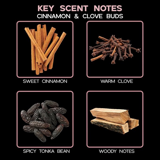 LOVSPA Reed Diffuser Set, Cinnamon & Clove Buds Scented Oil Diffuser with Sticks, Home Fragrance Accessories for Bathroom Shelf Decor, Aroma Diffusers for Home or Office Fall Decor, USA Made