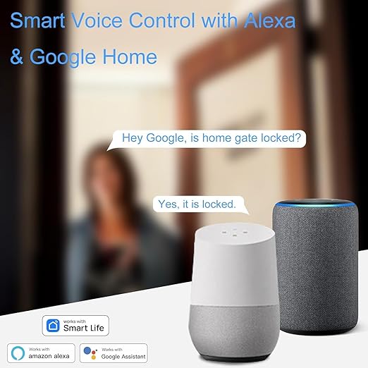 WiFi Door and Window Sensor, Smart Home Security Alert System, 2.4G Wireless, Compatible with Alexa, Google Home, Tuya Smart Devices