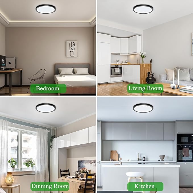 LED Flush Mount Ceiling Light Fixture, 24W 12Inch 3000K/3500K/4500K/5000K/6500K 5 Color Changeable 2880LM Low Profile Ceiling Light for Bedroom, Living Room, Dining Room, Hallway Black