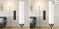 Ambimall LED Floor Lamp with Remote Control, 65" Standing lamp with Stepless Adjustable 3000K-6500K Colors & 30-100% Brightness, Foot Switch(Deep Grey) (Pack of 2)