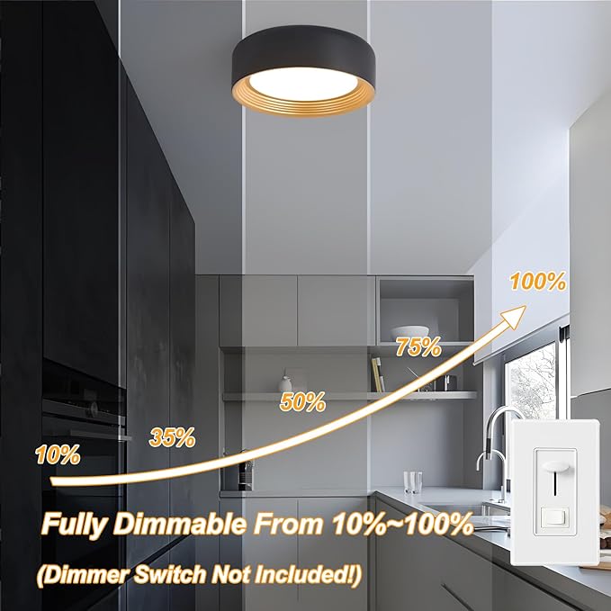 Dimmable Modern LED Flush Mount Ceiling Light,11.8 Inch 5CCT 24W/3000K-6000K,Minimalist Round Black and Gold Close to Ceiling Lighting Fixtures for Kitchen,Hallway,Laundry Room,Entryway,Porch