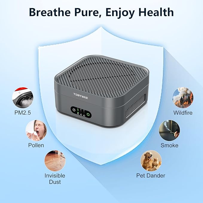Air Purifiers for Home 600 Sq.Ft, TDBYWAE H13 True HEPA Air Purifier with USB Cable for Pets Dust Dander Pollen Odor Smoke, Small Portable Air Purifier for Bedroom Office Desktop Car RV