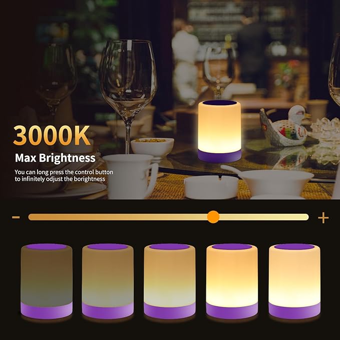 OORUN Touch Bedside Table Lamp,13 RGB Colors & 5 Brightness, USB Rechargeable Desk Lamp, Remote Control Dimmable Night Light with RGB Color Changing,Portable Lamp for Baby, Living Room (Purple)