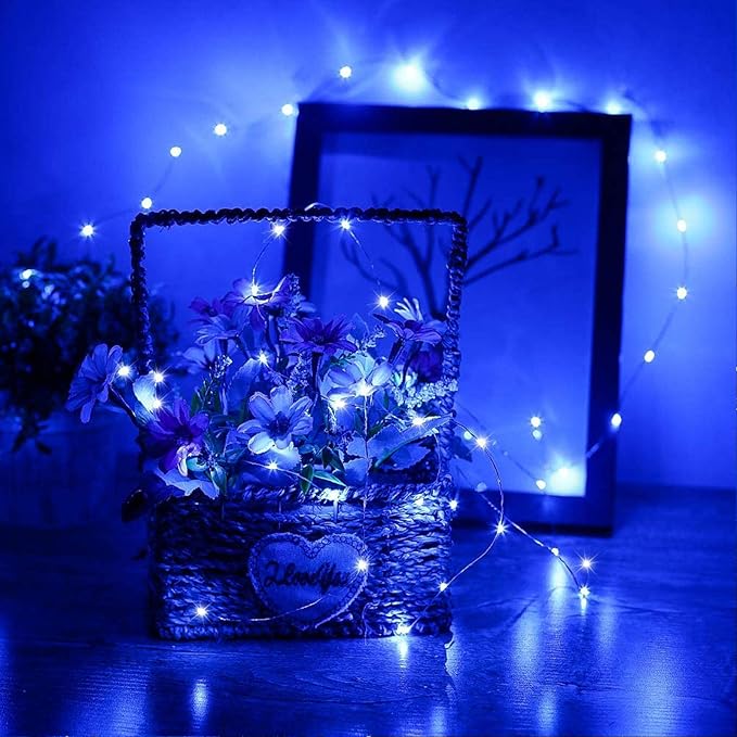 RUICHEN 20 Ft 120 LED USB Fairy String Lights with On/Off Switch, Waterproof Copper Wire Lights for Bedroom Wall Ceiling Wreath Crafts Christmas Easter Wedding Party, Blue, 2 Pack