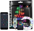 Smart Fairy String Lights RGB IC WS2812B IC 6.5FT USB Bluetooth Twinkle with Timer and Remote, Music Sync Funny Modes Color Chasing Firefly Lights for Room Curtain Christmas Wedding Party Decor IP65