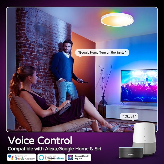 Smart Ceiling Light with Remote, 30W 2700LM Flush Mount Light Fixture LED WiFi, Works with Alexa Google Home, 2700K-6500K Color Changing Ceiling Lights for Bedroom Kitchen Living Room,12 Inch