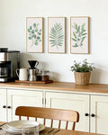 KUVIOKE Botanical Plant Wall Art Sage Eucalyptus Light Green Leaf Framed Wall Decor for Bedroom Living Room Bathroom Home Office Ready to Hang 8x10in3pcs Natural Framed