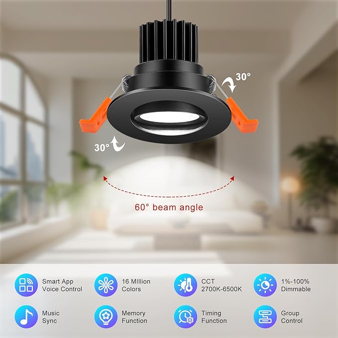 2 Inch Smart Recessed Lighting, 5W RGB WiFi LED Downlight, Dimmable RGB Color Changing & CCT 2700K–6500K, Compatible with Alexa & Google Home, 120V Round Ceiling Light & Driver (Black, 1 Pack)