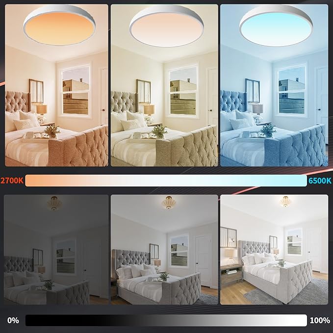 Smart LED Ceiling Light Work with Apple Homekit Alexa and Google Home RGBCW Color Changing Light Flush Mount Ceiling Lamp 24W Dimmable for Living Room, Bedroom, Home Use