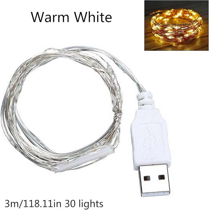 9ft USB Silver Wire LED String Lights - 30 LEDs Fairy Lights for Wedding, Party, Christmas Festival Decorations, W1