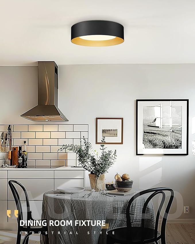 AUTELO Flush Mount Ceiling Light, 14" Frosted Glass Shade Close to Ceiling Light Fixture in Black Finish E26 Socket for Living Room Hallway Bedroom C3336XS BK
