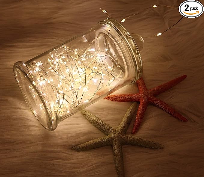 2 Pack 20 Feet 60 Warm White Led Battery Operated Fairy Lights with Remote Control Timer Waterproof Silver Copper Wire Twinkle String Lights for Party Bedroom Wedding Christmas Decorations