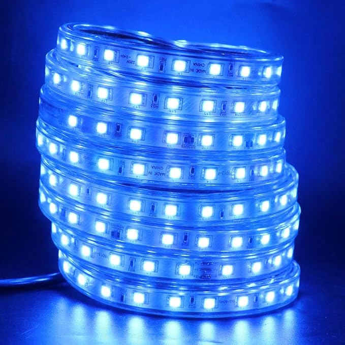 LED Light Strip Kit, AC 110-130V Flexible Waterproof Rope Lights, 66ft 5050 60 LEDs/M for Indoor Outdoor Commercial Lighting Decoration, Accessories Included, Blue