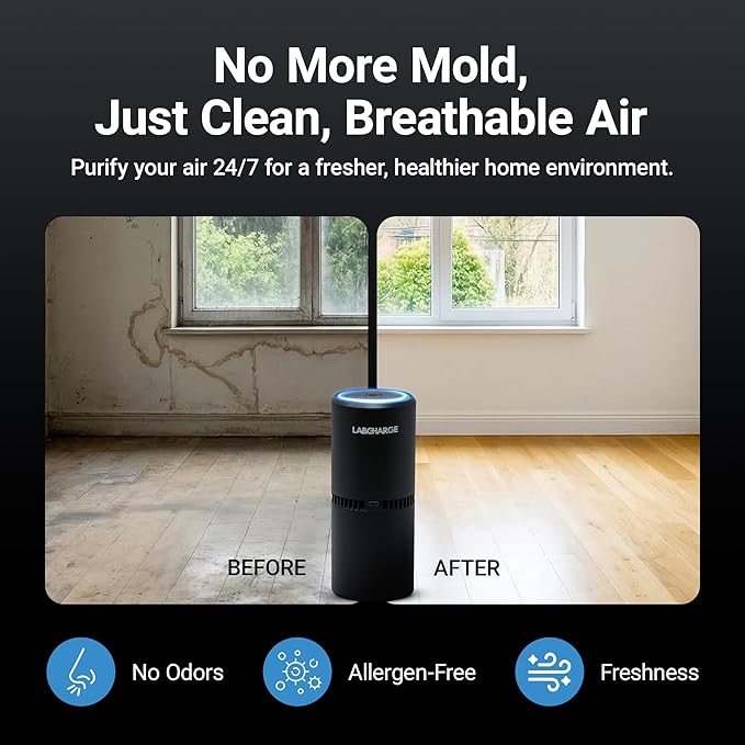 Lab Charge Small Ionic Air Purifier for Home & Bedroom – Silent HEPA Filter – Covers 250 Sq Ft - Free Cleaner for Pets, Hair, Smoke, Dust, Odors & Dander – Compact & Black Design - Pack of 3