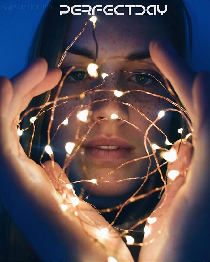PERFECTDAY String Lights, 200 LED 66 FT Copper Fairy String Lights Warm White Waterproof USB Powered String Light for Indoor Outdoor Party Decoration