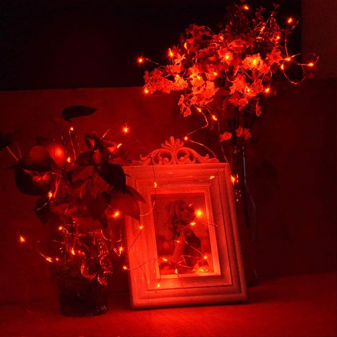 RUICHEN Plug in Fairy String Lights with Switch, Waterproof 33 Ft 100 LED Copper Wire Firefly Lights for Bedroom, Patio, Garden, Balcony, Dorm, Red