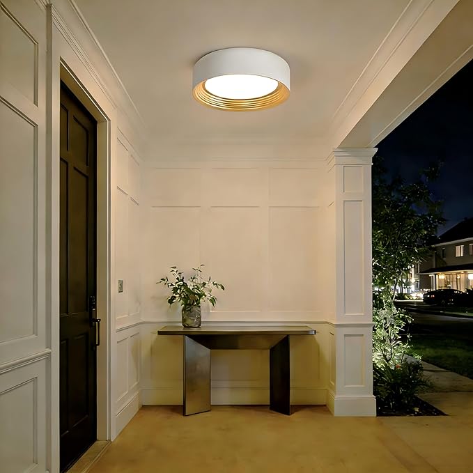 Dimmable Modern LED Flush Mount Ceiling Light,11.8 Inch 5CCT 24W/3000K-6000K,Minimalist Round White and Gold Close to Ceiling Lighting Fixtures for Kitchen,Hallway,Laundry Room,Entryway,Porch