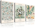 Sage Green Wall Decor Living Room,Matisse Wall Art Framed Abstract Van Gogh Wall Art for Bedroom,Aesthetic Modern Green Pictures Vintage Floral Boho Art Wall Decor for Bathroom,12"x16"