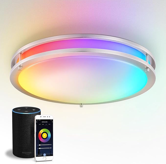 ASD LED 18" Round Flush Mount Lighting, Close to Ceiling Light Fixture | Smart, Multicolor, Dimmable, ETL Listed | 28W 1844LM RGB-2700-6500K 120V | Low Profile Double Ring Lamp | Nickel