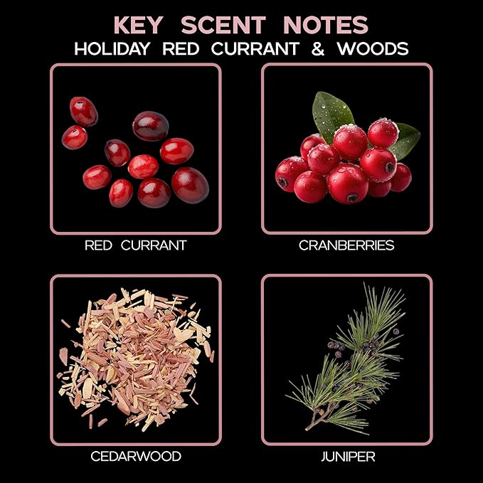 LOVSPA Holiday Red Currant & Woods Diffuser Oil - Luxury Essential Oils for Diffuser Refill & Air Freshener Room Spray - Long-Lasting Home Fragrance, Scented Oil for Diffusers, USA Made, 4oz