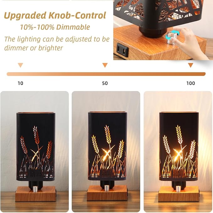 Industrial Table Lamp Sets of 2 with USB Ports and Outlet, Rustic Dimmable Bedside lamp with Charging Station, Metal Square Shadow Nightstand Lamp for Bedroom Living Room End Tables